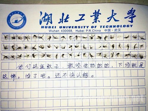 60ֻд