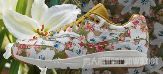 Nike WMNS Air Max 1 Ultra ϵУ