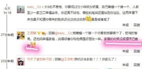 王思聪称大S被家暴