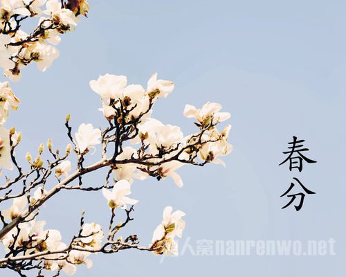 春分如何保持人体阴阳平衡