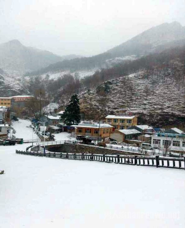 四月飘雪