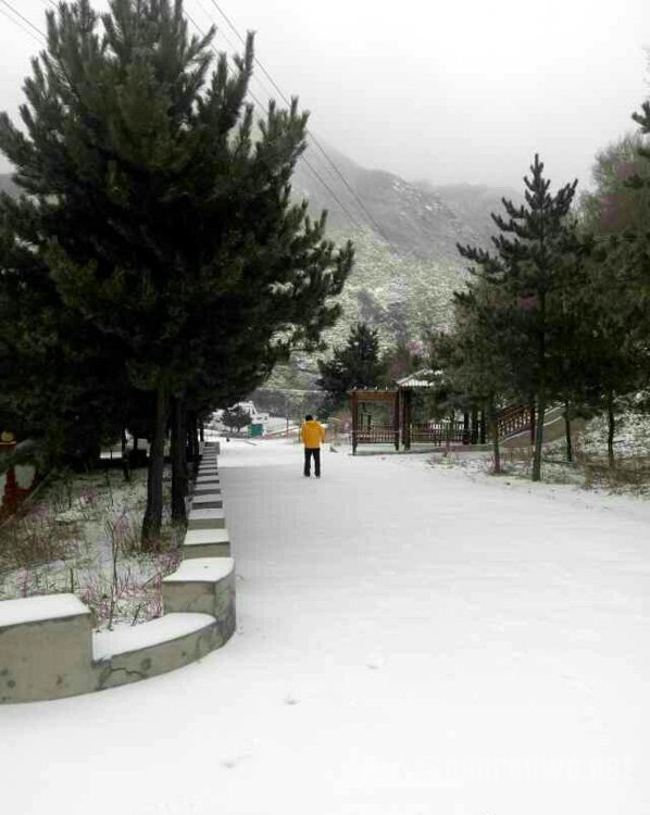 北京四月居然下雪