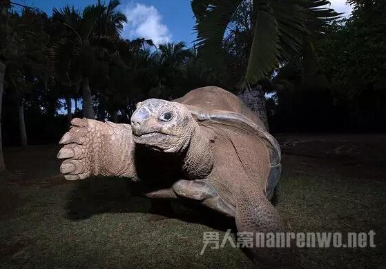Ҳë˹Ĺ