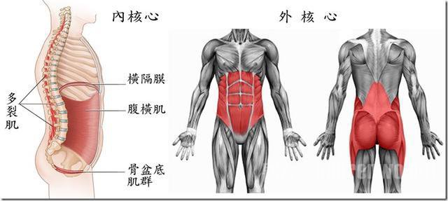 核心肌群