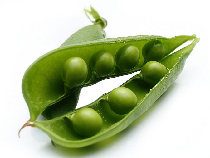 豌豆