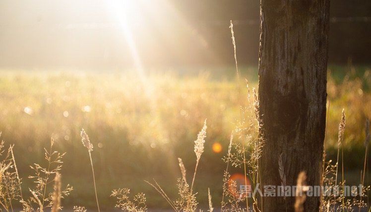 寻找光线和阴影