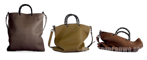 Gucciڱ
