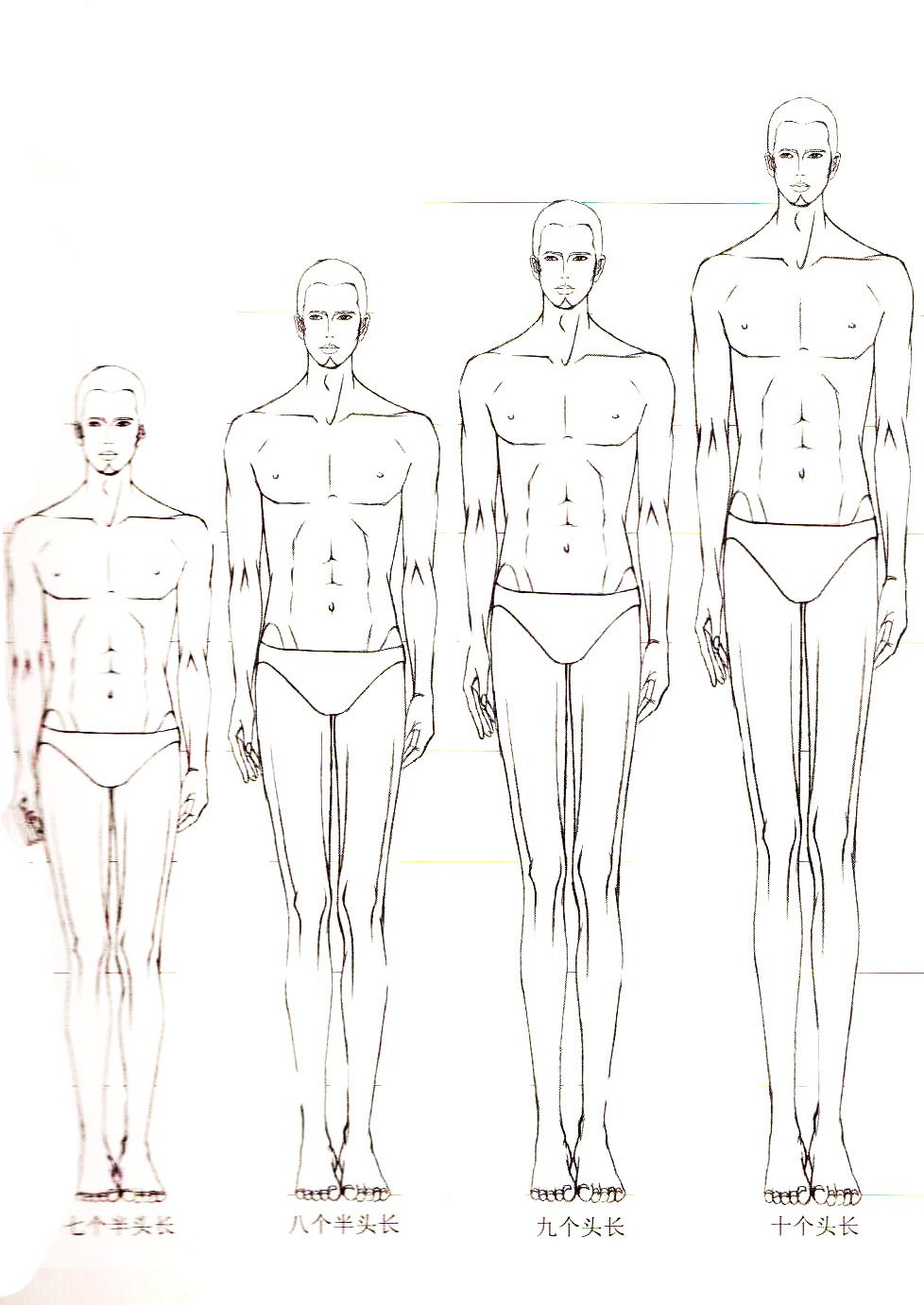 男子身高