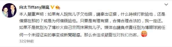向太发文怒斥借儿子炒作
