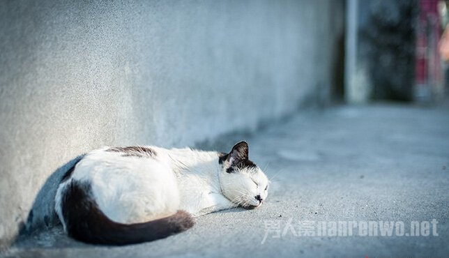 简洁的背景有助突出主体!