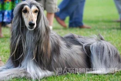 ��������Ȯ