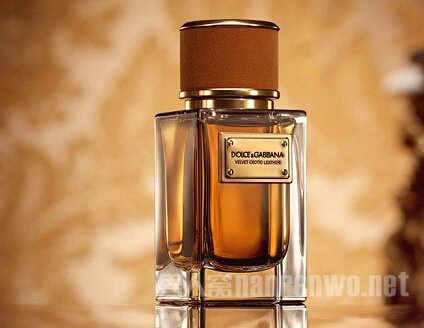 Dolce & Gabbana(żΰ)Velvet collection(˿ϵ)