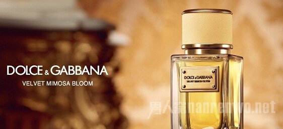 Dolce & Gabbana(żΰ)Velvet collection(˿ϵ)
