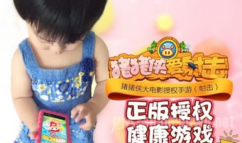 正版授权 健康游戏