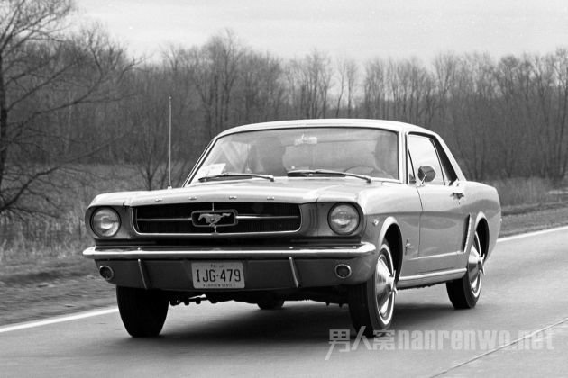 Mustang
