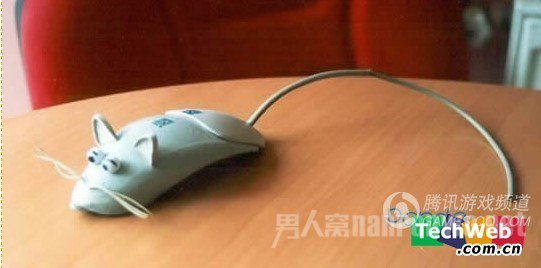 老鼠