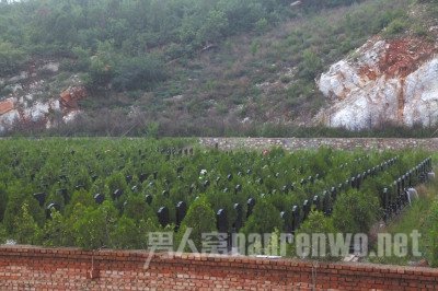 华夏龙苑墓地约有600多块墓碑