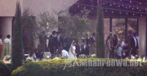 婚礼远观