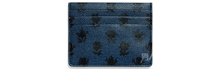 ͼƬ Coach