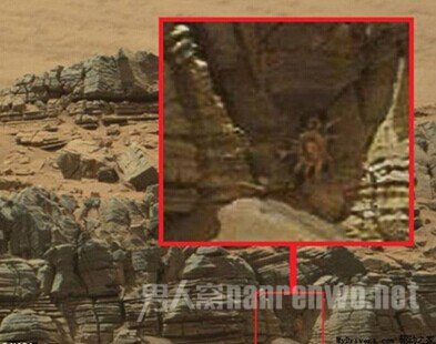 Alien()еġ桱