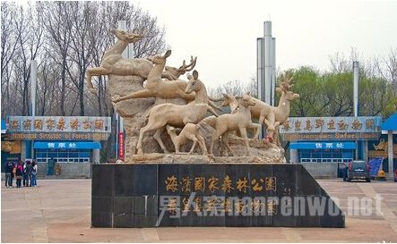 秦皇岛野生动物园