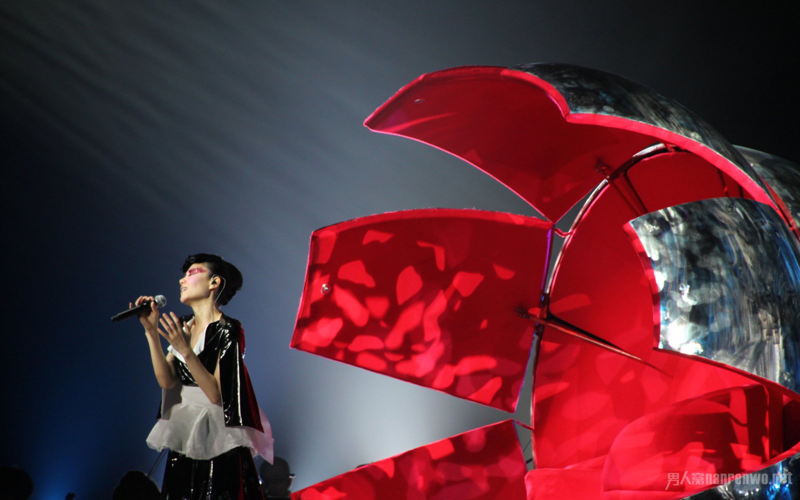 2015年王菲演唱会筹备好了吗?