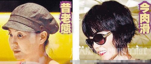 网友爆料王菲整容八次