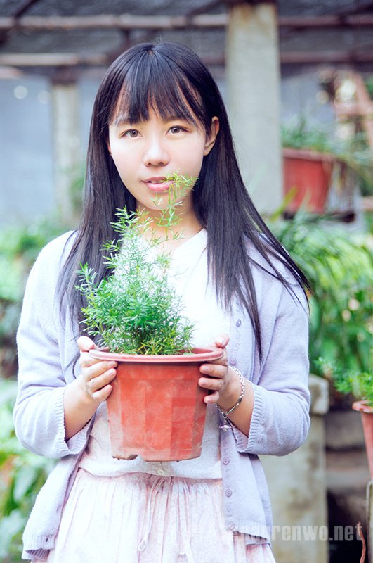 盆栽植物