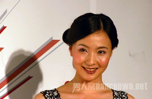 徐峥老婆陶虹个人资料之演艺经历