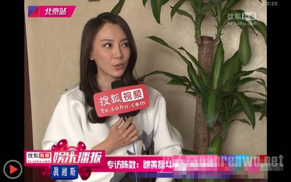陈数谈黄磊