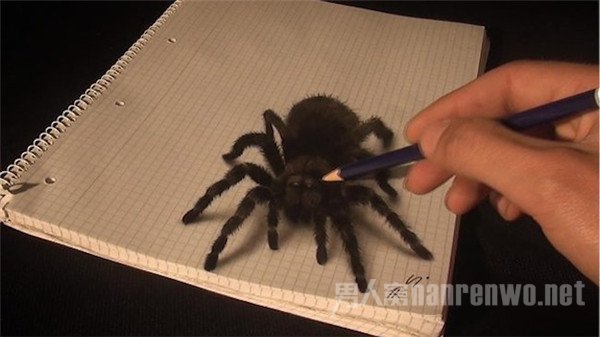 3D蜘蛛