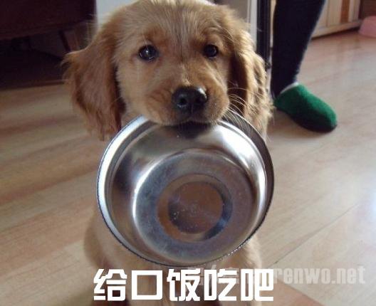 ڷ