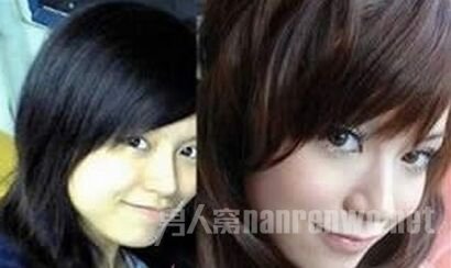 ��ӽɺ����������