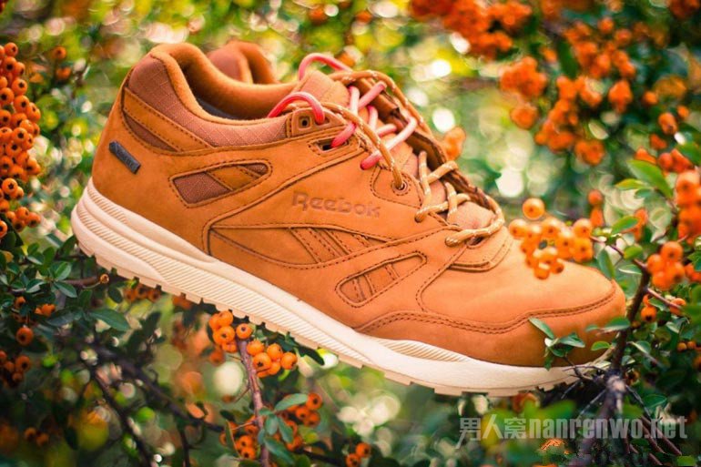 Reebok Ventilator Ь 2015ﶬGORE-TEXϵ