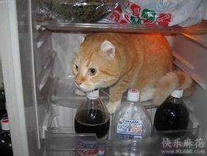 ļ̫ĬͼƬ