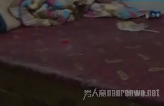 ڷ޹
