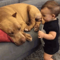 ôаĽ