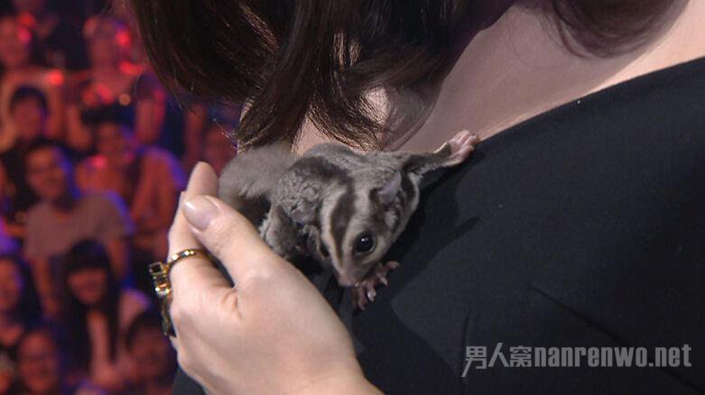 ���������ȳ�