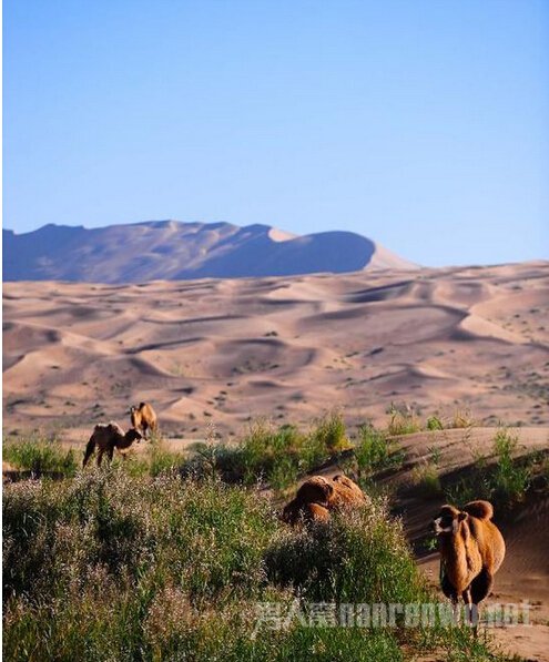 景色雄浑壮阔 景色雄浑壮阔