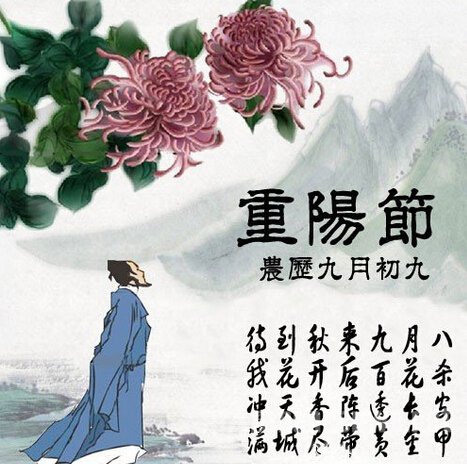 重阳节作文 尊老敬老的一天