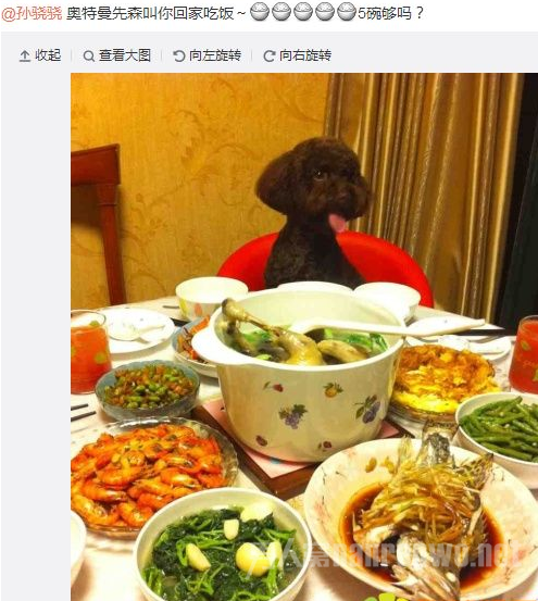 　　郑恺微博截图
