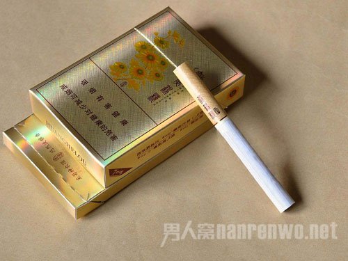 黄鹤楼 (滑盖乐道)