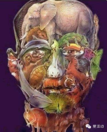 猜猜有几种动物