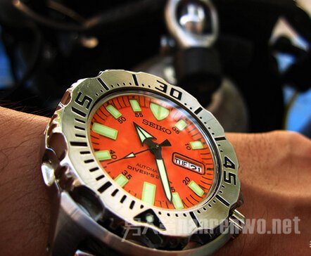 Seiko Monster ˮϵ