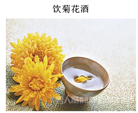 重阳节也称为“酒神节”