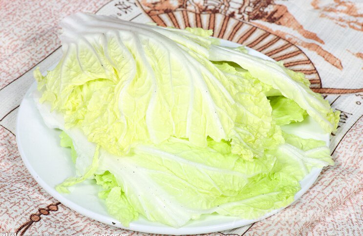白菜
