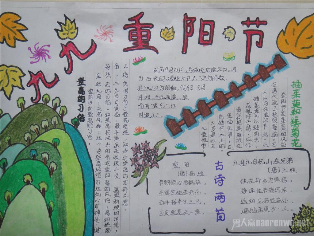 重阳节手抄报内容