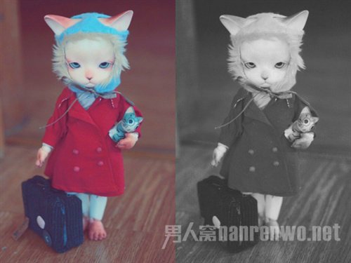 猫夫人