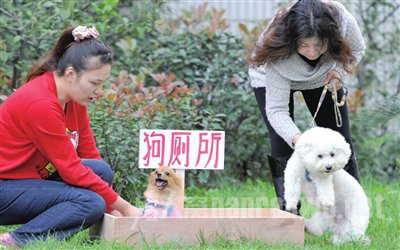 物业禁止养狗