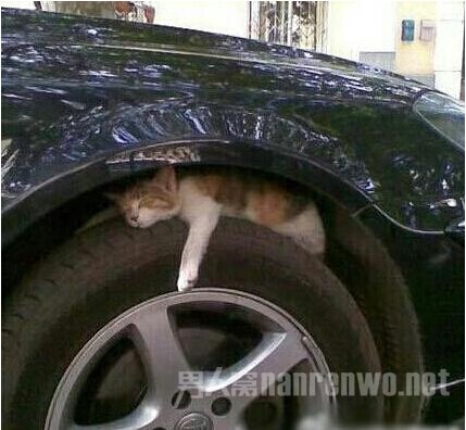 Сһ